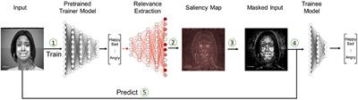 Relevance-Based Data Masking: A Model-Agnostic Transfer Learning Approach for Facial Expression Recognition